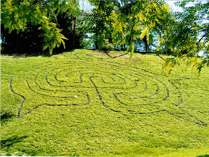 installation au parc phenix a nice en 2005